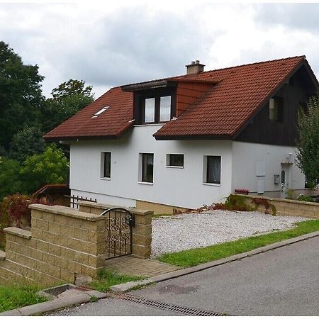 Pension Dvoracek Svoboda nad Upou Bagian luar foto
